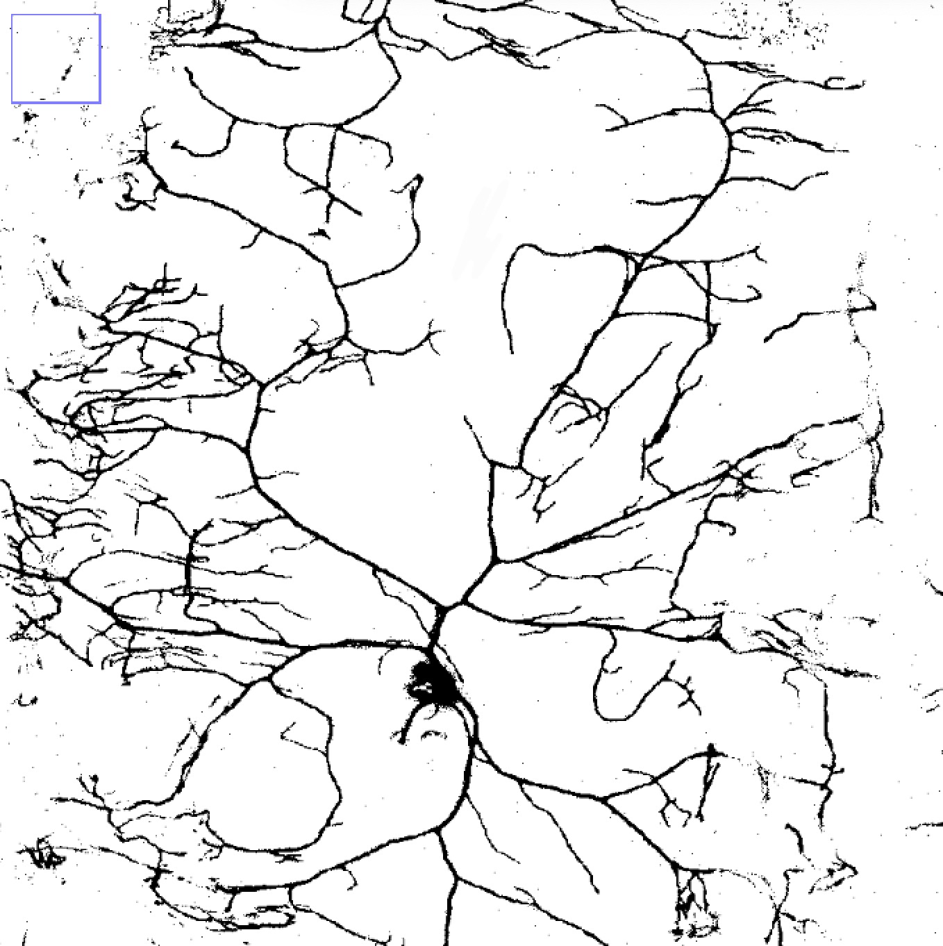 Original neuron image before any edits