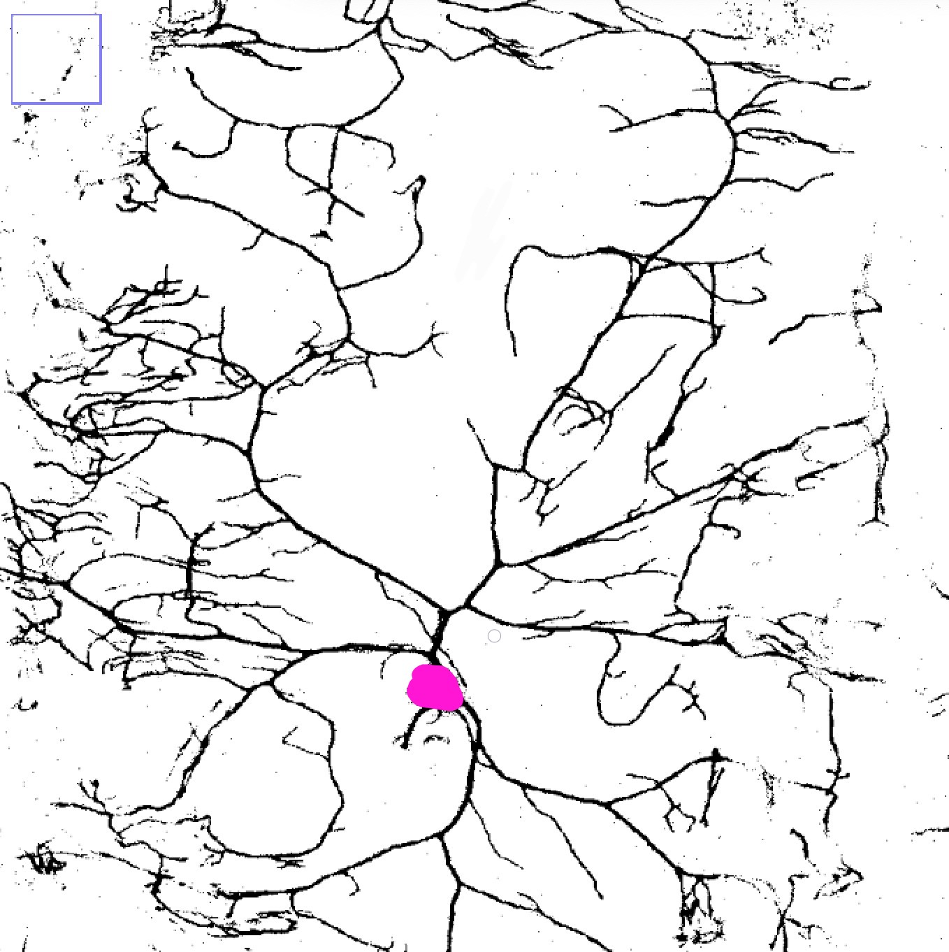The same neuron with its cell body filled in pink