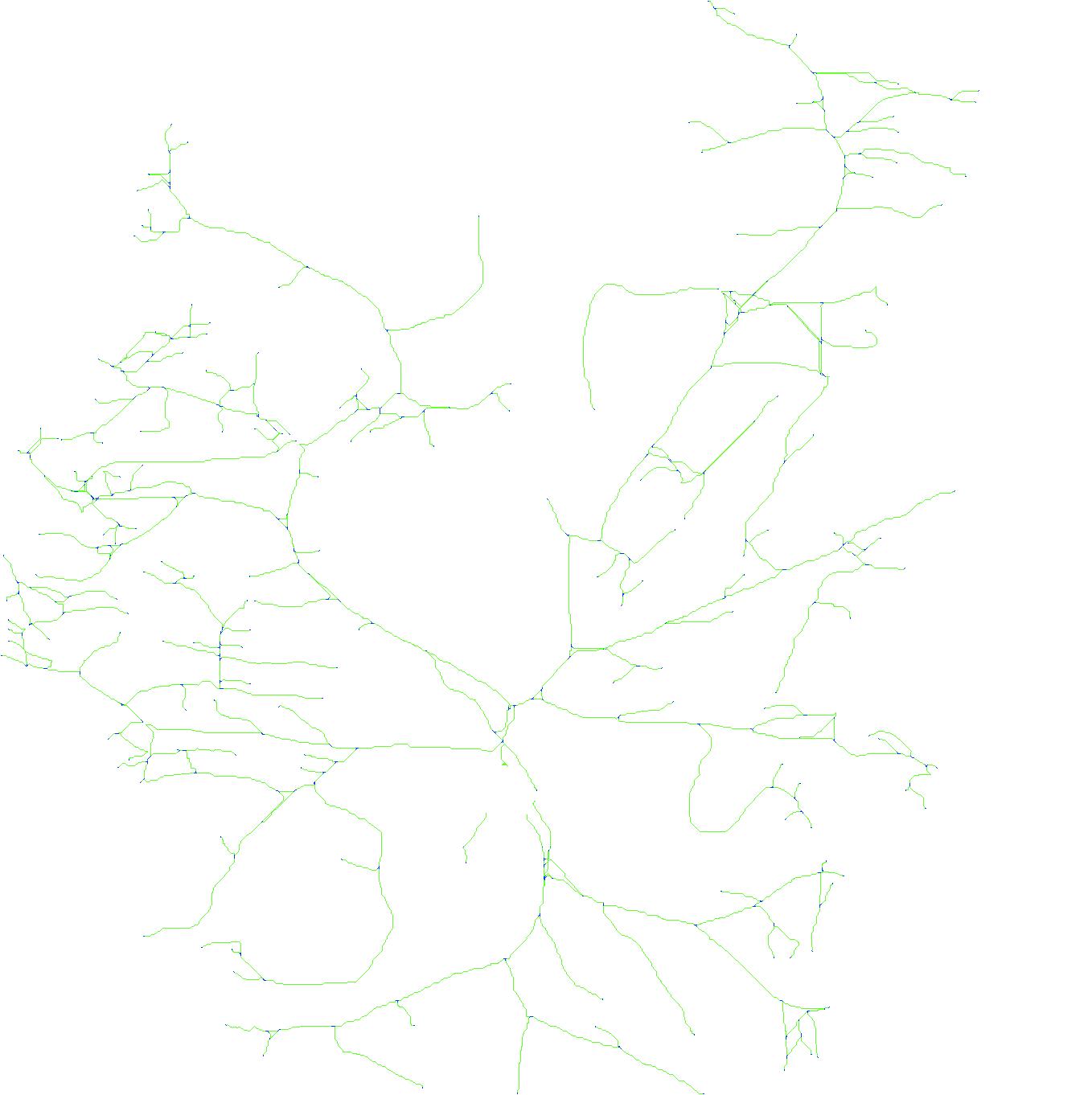 Traced branches drawn on a white background